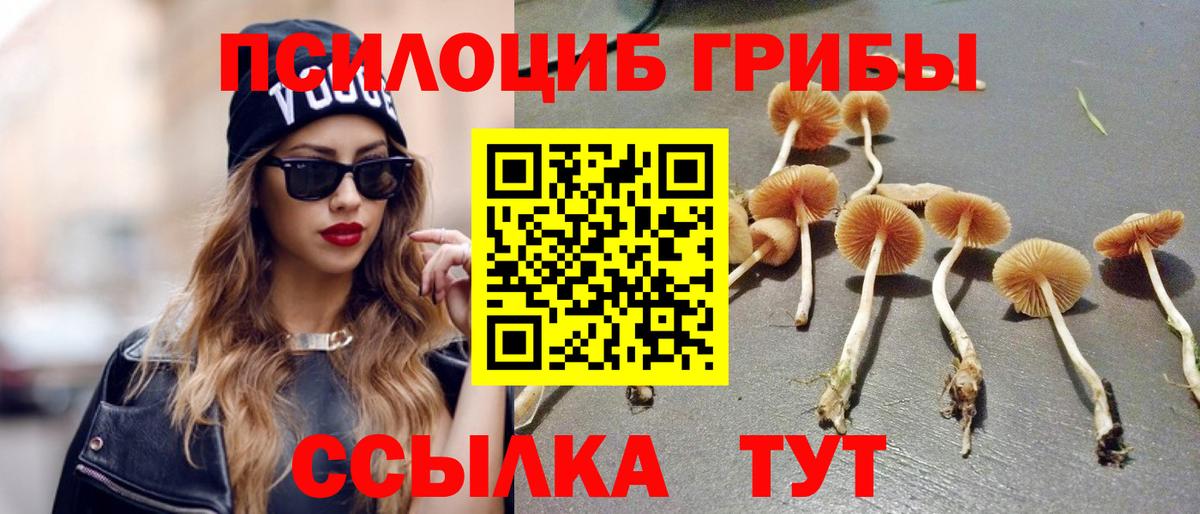 Галлюциногенные грибы Psilocybine cubensis  Вход с VPN  Алейск 