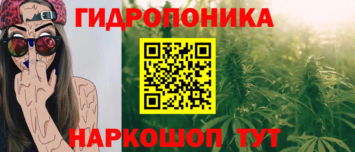 Каннабис AK-47 Алейск